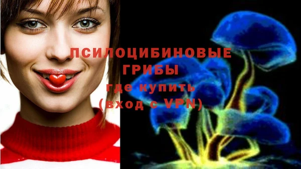 каннабис Верея