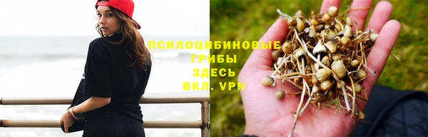 не бодяженный Володарск