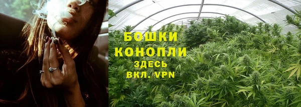 spice Волоколамск