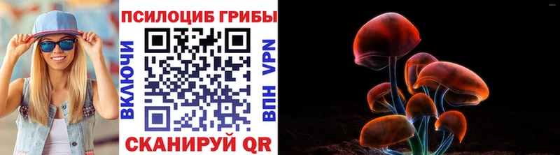 Галлюциногенные грибы Psilocybe  МЕГА рабочий сайт  Курск 